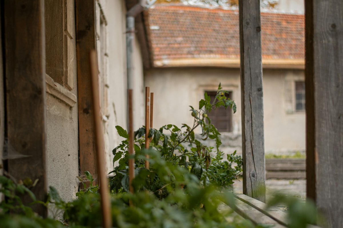 Rénovation Tous Corps d'État & Aménagement